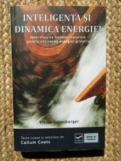 Inteligenta si dinamica energiei - Viktor Schauberger foto