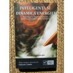 Inteligenta si dinamica energiei - Viktor Schauberger