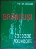 VICTOR CRACIUN: BRANCUSI, ZECE DESENE NECUNOSCUTE(DEDICATIE PT NINA STANCULESCU)