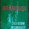 VICTOR CRACIUN: BRANCUSI, ZECE DESENE NECUNOSCUTE(DEDICATIE PT NINA STANCULESCU)