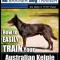 Australian Kelpie Training Dog Training with the No Brainer Dog Trainer We Make It That Easy!: How to Easily Train Your Australian Kelpie