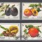 A12 S6 4 - Timbre foarte vechi - Sharjah - fructe exotice