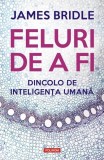Feluri de a fi - Paperback brosat - James Bridle - Polirom