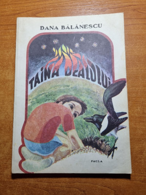 carte pentru copii - taina dealului - dana balanescu - din anul 1990 foto