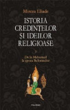 Cumpara ieftin Istoria Credintelor Si Ideilor Religioase Volumul 3, Mircea Eliade - Editura Polirom