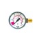 Inhaltsmanometer mit roten Bereich f&uuml;r CO2-Ende, 1/4&quot; AG