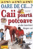 Carte Oare de ce...? Caii poarta potcoave si alte intrebari, Jackie Gaff, pentru copii, ilustrata, brosata, romana, 32 pagini, 2003