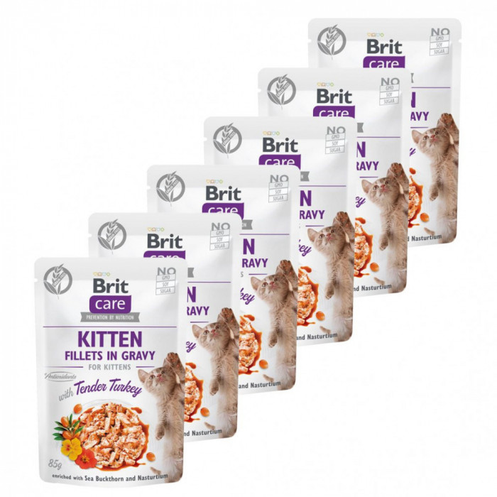 Brit Care Kitten Fillets in Gravy Tender Turkey 6 x 85 g