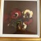 CORNELIU BRUDASCU , ANEMONE ,ULEI PE CARTON