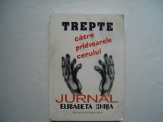 Trepte catre pridvoarele cerului. Jurnal. Meditatii-Confesiuni - Elisabeta Chisa