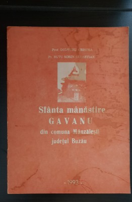 Sf&amp;acirc;nta m&amp;acirc;năstire GĂVANU din comuna M&amp;acirc;nzălești județul Buzău - Dumitru Cristea foto