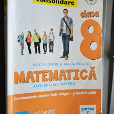 MATEMATICA ARITMETICA ALGEBRA GEOMETRIE CLASA A VIII A PARTEA I COMPER NEGRILA