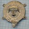 AX 72 MEDALIE-PLACHETA- MASONICA ? -NEMO MORTALIUM OMNIBUS LOCIS HAPTIT ?