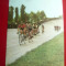 Ilustrata - Concurs de Ciclism , anii &#039;60 Romania