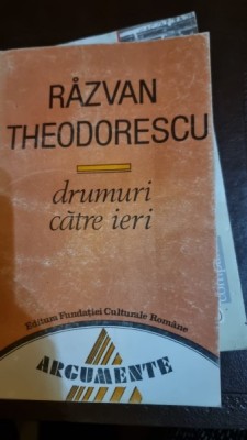 Drumuri catre ieri - Razvan Theodorescu foto