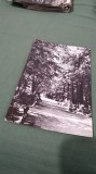 Cumpara ieftin CARTE POSTALA PUCIOASA -VEDERE DIN PARC CIRCULATA