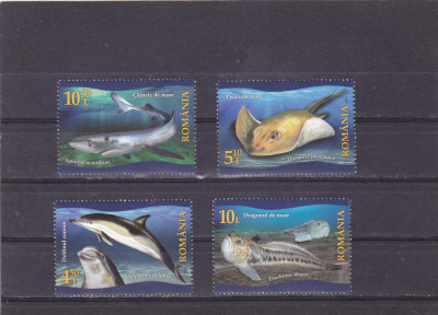 ROMANIA 2022 - FAUNA PROTEJATA DIN MAREA NEAGRA, MNH - LP 2366 foto