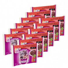 Whiskas Junior Selec?ie clasica in suc propriu 12 x (4 x 100 g) foto