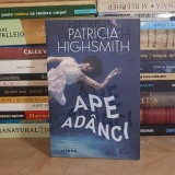 PATRICIA HIGHSMITH - APE ADANCI ( THRILLER ) , 2020 *