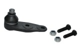 Rotula Pivot Dacia Supernova, Solenza 11155 6001547918