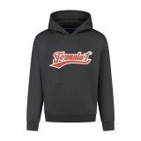 Formula 1 hanorac de bărbați cu glugă Heritage Graphic black F1 Team 2025 - S