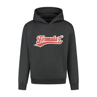 Formula 1 hanorac de bărbați cu glugă Heritage Graphic black F1 Team 2025 - XL foto
