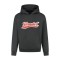 Formula 1 hanorac de bărbați cu glugă Heritage Graphic black F1 Team 2025 - XL