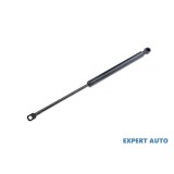Amortizor hayon Citroen C5 III (2008-&gt;) [RD_] #1