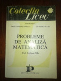 Probleme de analiza matematica 1 (cls. XI)- Ion Petrica, Emil Constantinescu