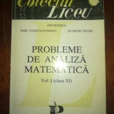 Probleme de analiza matematica 1 (cls. XI)- Ion Petrica, Emil Constantinescu