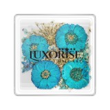 Cumpara ieftin Flori Uscate Unghii LUXORISE - Serene Bloom