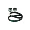 Kit distributie Dexwal 7364
