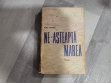 Ne-asteapta marea de Ion Arama