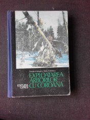 EXPLOATAREA ARBORILOR CU COROANA - DUMITRU CARLOGANU, VASILE ANDREESCU foto