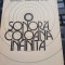 Iulius Țundrea - O sonoră coloană infinită