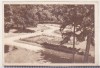 Bnk cp Caciulata - Vedere din parc - circulata - Libraria Noastra, Printata, Valcea