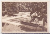 bnk cp Caciulata - Vedere din parc - circulata - Libraria Noastra
