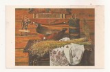 FA89 -Carte Postala- RUSIA - Tretyakov Gallery, Moscow - Vladimir Stozharov, Still Life with Felix, necirculata 1981, Fotografie