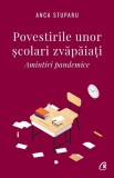 Povestirile unor scolari zvapaiati - Anca Stuparu - Curtea Veche
