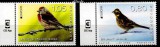 LUXEMBURG 2019, EUROPA CEPT, Fauna, Pasari, serie neuzata, MNH