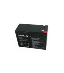 Acumulator gel plumb 12V 10Ah Vipow foto