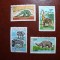CONGO FAUNA