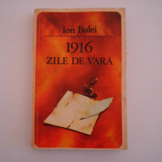 1916 zile de vara - Ion Bulei