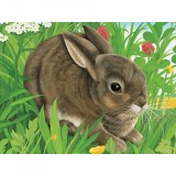 Puzzle In Cutie Animale, 12 Piese, Ravensburger
