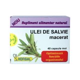 HOFIGAL Ulei salvie 0.5 g, 40 capsule moi