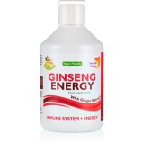 Swedish Nutra Ginsen Energy băutură pentru susținerea imunității și atenuarea oboselii și a epuizării aroma Ginger 500 ml