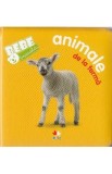 Bebe invata - Animale de la ferma