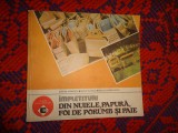 Impletituri din nuiele , papura , foi de porumb si paie - Stefan Ivanescu