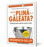 Cat de plina ti-e galeata? - All