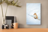 Tablou Canvas, "Vulpe singuratică &icirc;n zăpadă albă", Fox, Snow, Solitude, Peaceful, Winter, White, Calm, Nature, 26 x 39 cm, CMCLASS